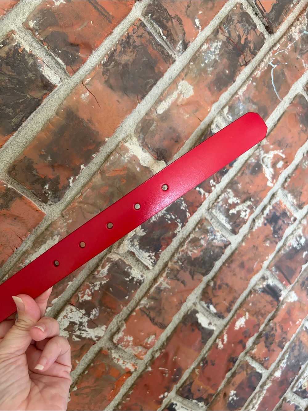 Red belt - Picture 7 of 7